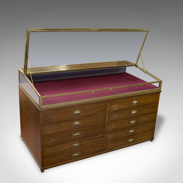 Antique Museum Display Cabinet, Bronze Showcase, Collectors Chest, Edmonds c1910 - London Fine Antiques