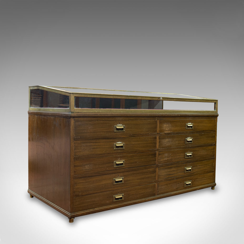 Antique Museum Display Cabinet, Bronze Showcase, Collectors Chest, Edmonds c1910 - London Fine Antiques
