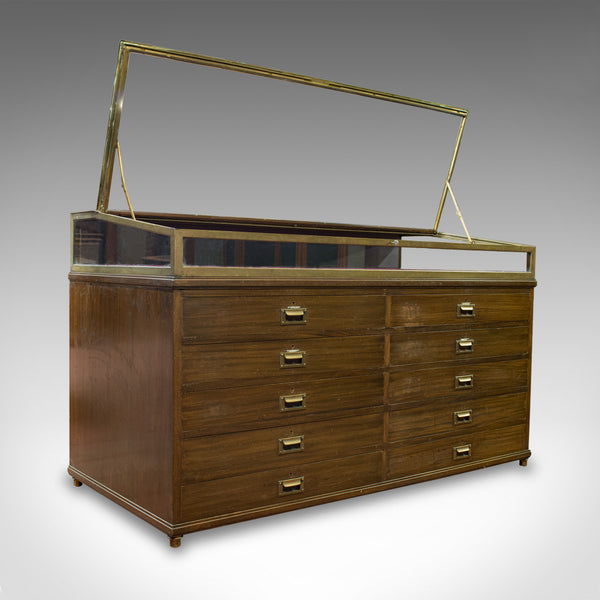 Antique Museum Display Cabinet, Bronze Showcase, Collectors Chest, Edmonds c1910 - London Fine Antiques