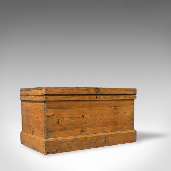 Antique Pine Trunk, English, Victorian, Storage, Chest, Circa 1850 - London Fine Antiques