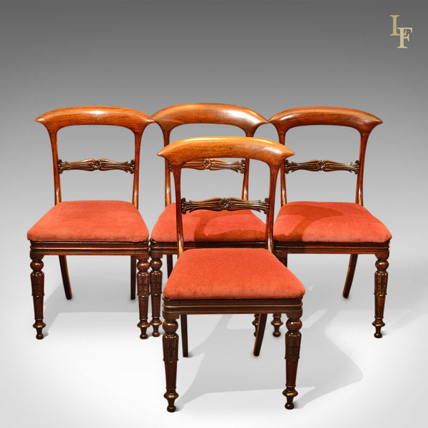 Regency Set of 4 Rosewood Antique Dining Chairs, c.1820 - London Fine Antiques