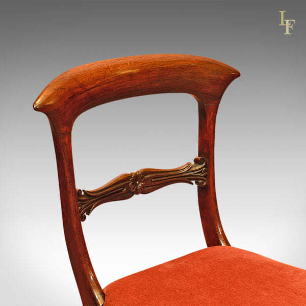 Regency Set of 4 Rosewood Antique Dining Chairs, c.1820 - London Fine Antiques