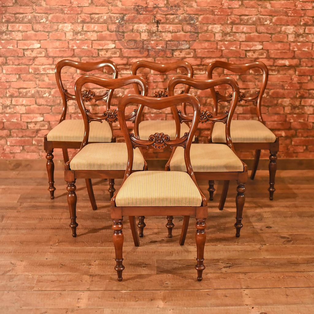 William IV, Set of Six Buckle Back Dining Chairs, c.1835 - London Fine Antiques
