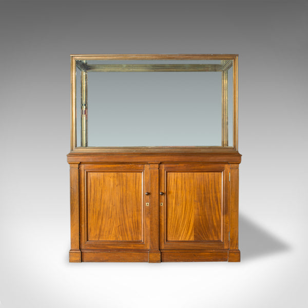 Antique Showcase Cabinet, English, Walnut, Bronze, Display, Museum, Circa 1900 - London Fine Antiques