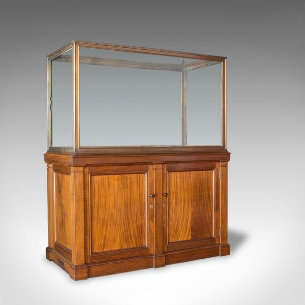 Antique Showcase Cabinet, English, Walnut, Bronze, Display, Museum, Circa 1900 - London Fine Antiques
