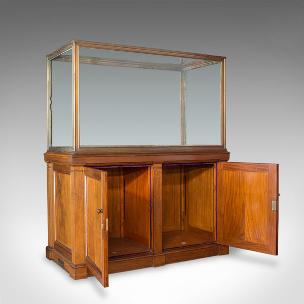 Antique Showcase Cabinet, English, Walnut, Bronze, Display, Museum, Circa 1900 - London Fine Antiques
