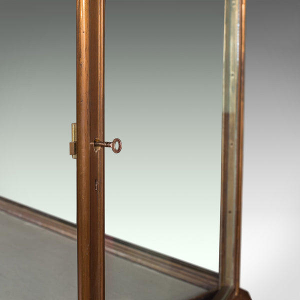 Antique Showcase Cabinet, English, Walnut, Bronze, Display, Museum, Circa 1900 - London Fine Antiques