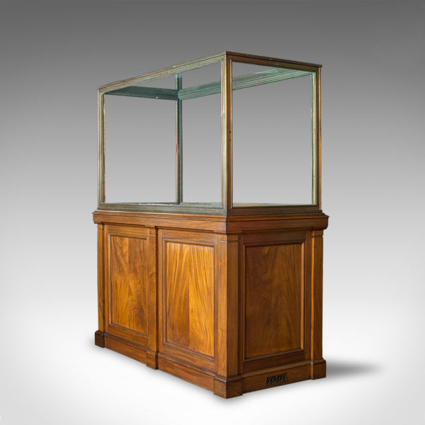 Antique Showcase Cabinet, English, Walnut, Bronze, Display, Museum, Circa 1900 - London Fine Antiques