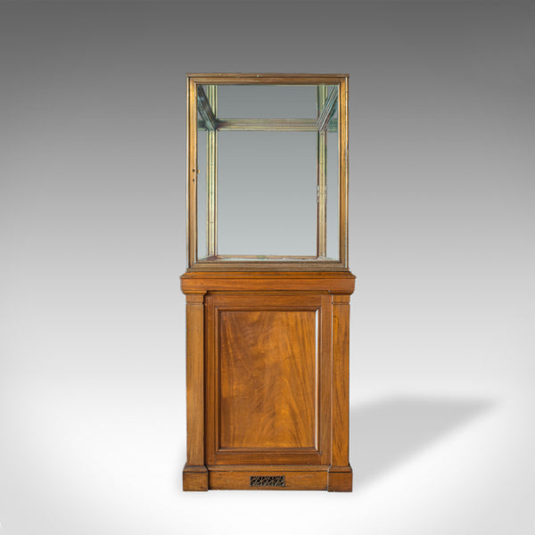 Antique Showcase Cabinet, English, Walnut, Bronze, Display, Museum, Circa 1900 - London Fine Antiques