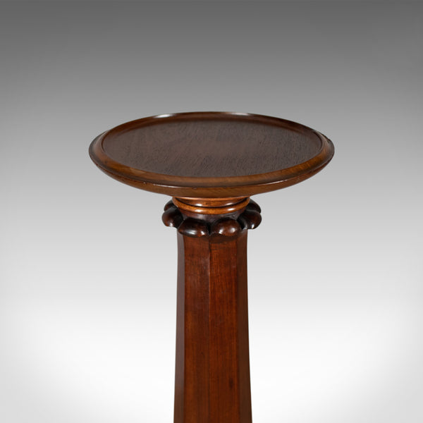 Antique Torchere, English, William IV, Plant Stand, Mahogany, Circa 1835 - London Fine Antiques