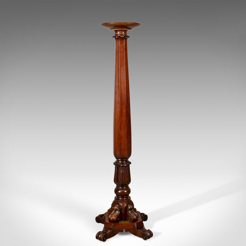 Antique Torchere, English, William IV, Plant Stand, Mahogany, Circa 1835 - London Fine Antiques