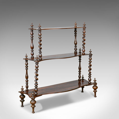 Antique Whatnot, English, Regency, Rosewood, Three Tier, Display Stand c.1820 - London Fine Antiques