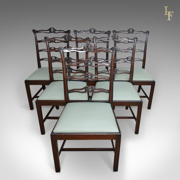 Antique Dining Chairs, Set Of Six, Victorian Chippendale Revival - London Fine Antiques