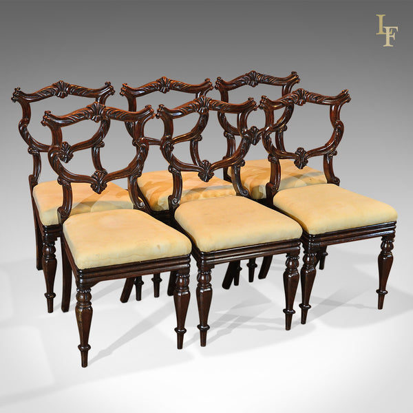 Set of Six Antique Chairs, Rosewood, William IV c.1835 - London Fine Antiques