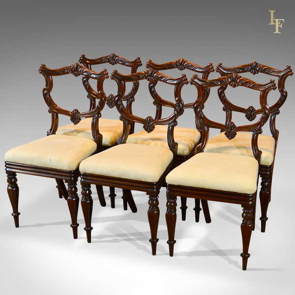 Set of Six Antique Chairs, Rosewood, William IV c.1835 - London Fine Antiques