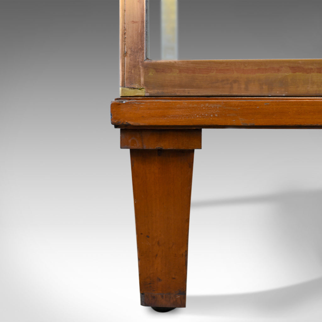 Large Display Case, Bronze, Museum Quality, Showcase, A. Edmonds & Co ...