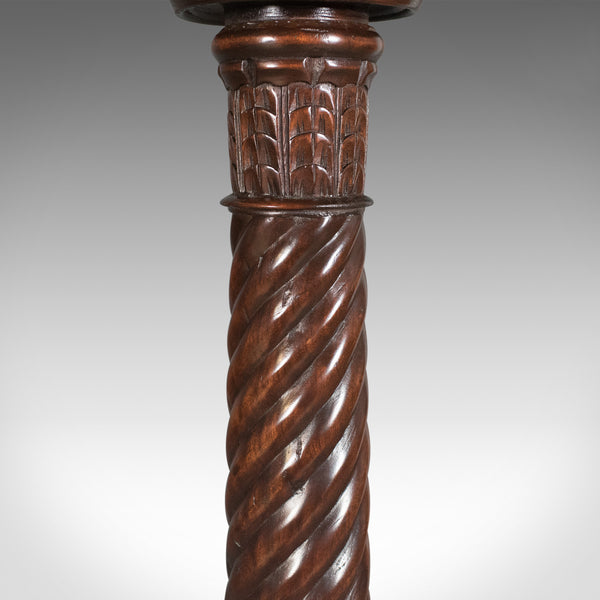 Mid 20th Century Plant Stand, William IV Revival Torchere in Dark Mahogany - London Fine Antiques