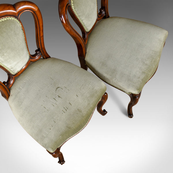 Pair of Antique Chairs, English, Victorian, Dining, Side, Mahogany, Circa 1840 - London Fine Antiques