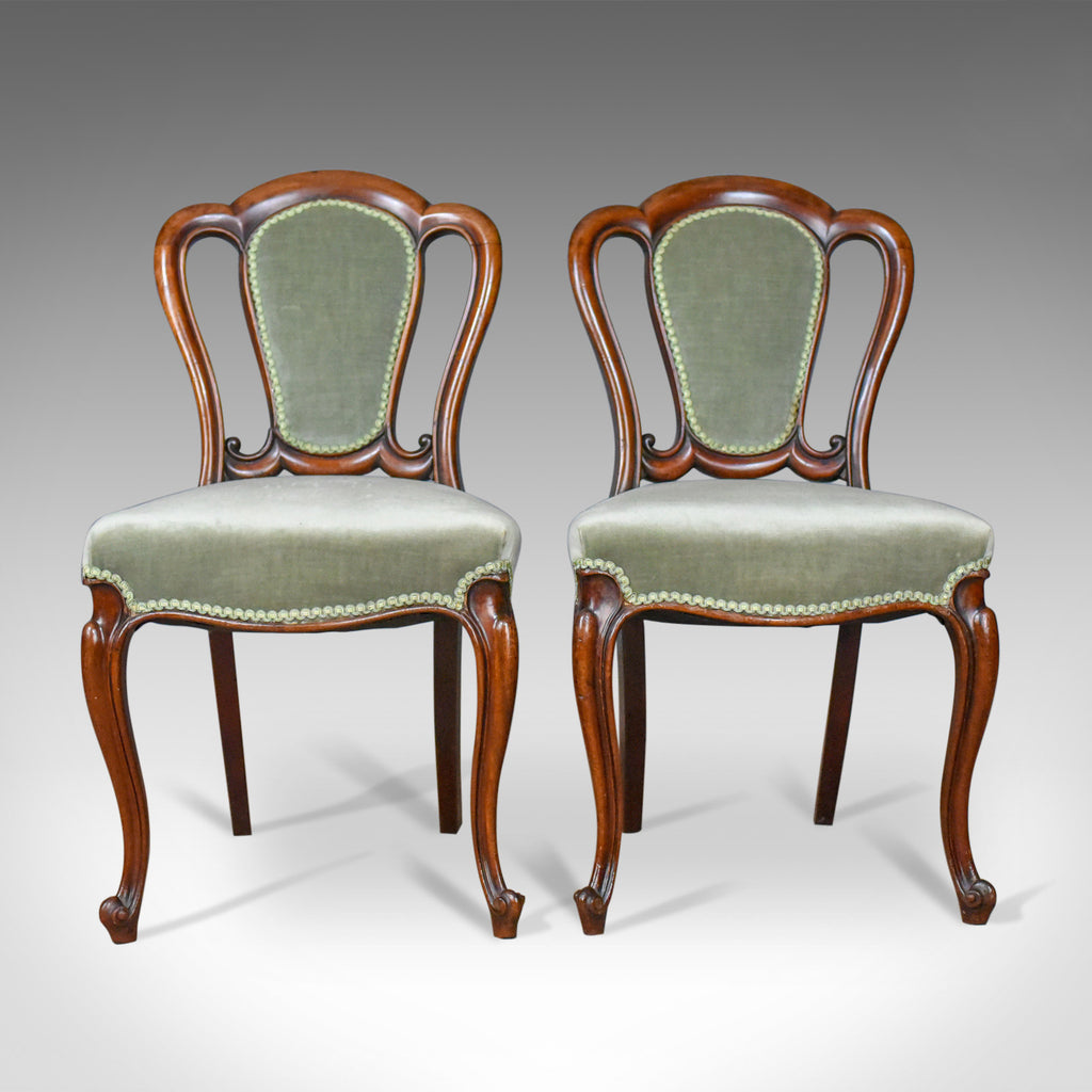 Pair of Antique Chairs, English, Victorian, Dining, Side, Mahogany, Circa 1840 - London Fine Antiques