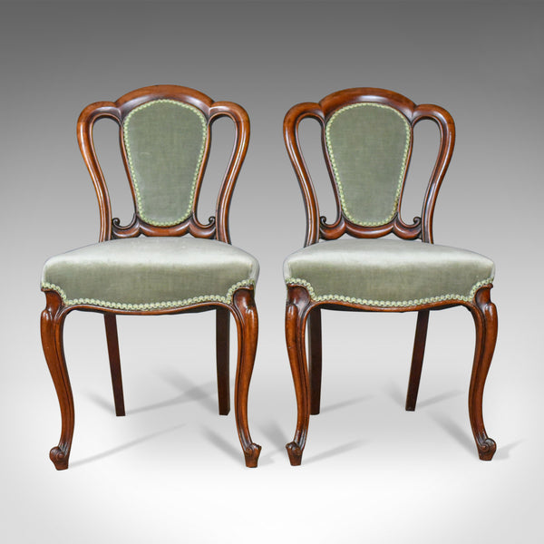 Pair of Antique Chairs, English, Victorian, Dining, Side, Mahogany, Circa 1840 - London Fine Antiques