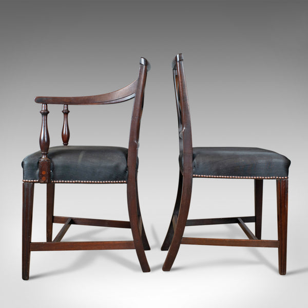 9 Antique Dining Chairs, 2 x Carvers, 6 plus 1 Spare Side, Regency, circa 1815 - London Fine Antiques