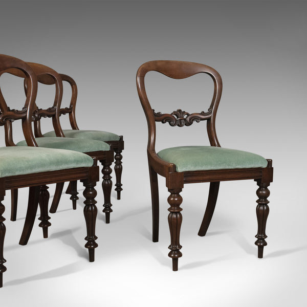 Set of Four Antique Dining Chairs, English, Buckle Back, Mahogany Circa 1835 - London Fine Antiques
