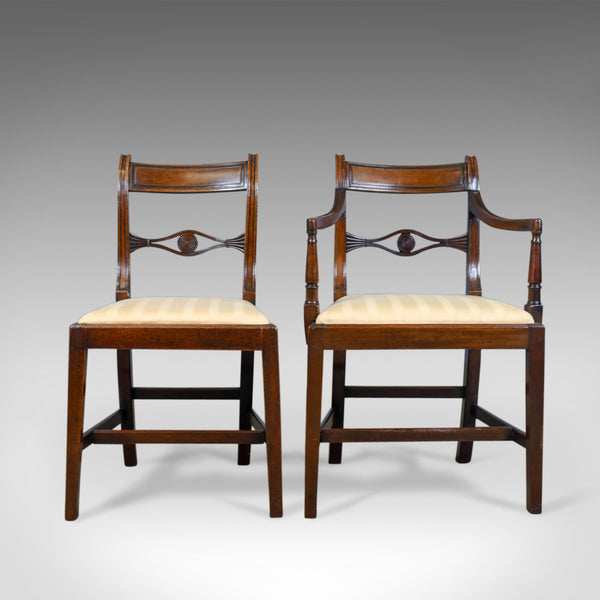 Set of Six, Antique, Dining Chairs, 5+1 English, Regency, Mahogany, Circa 1820 - London Fine Antiques