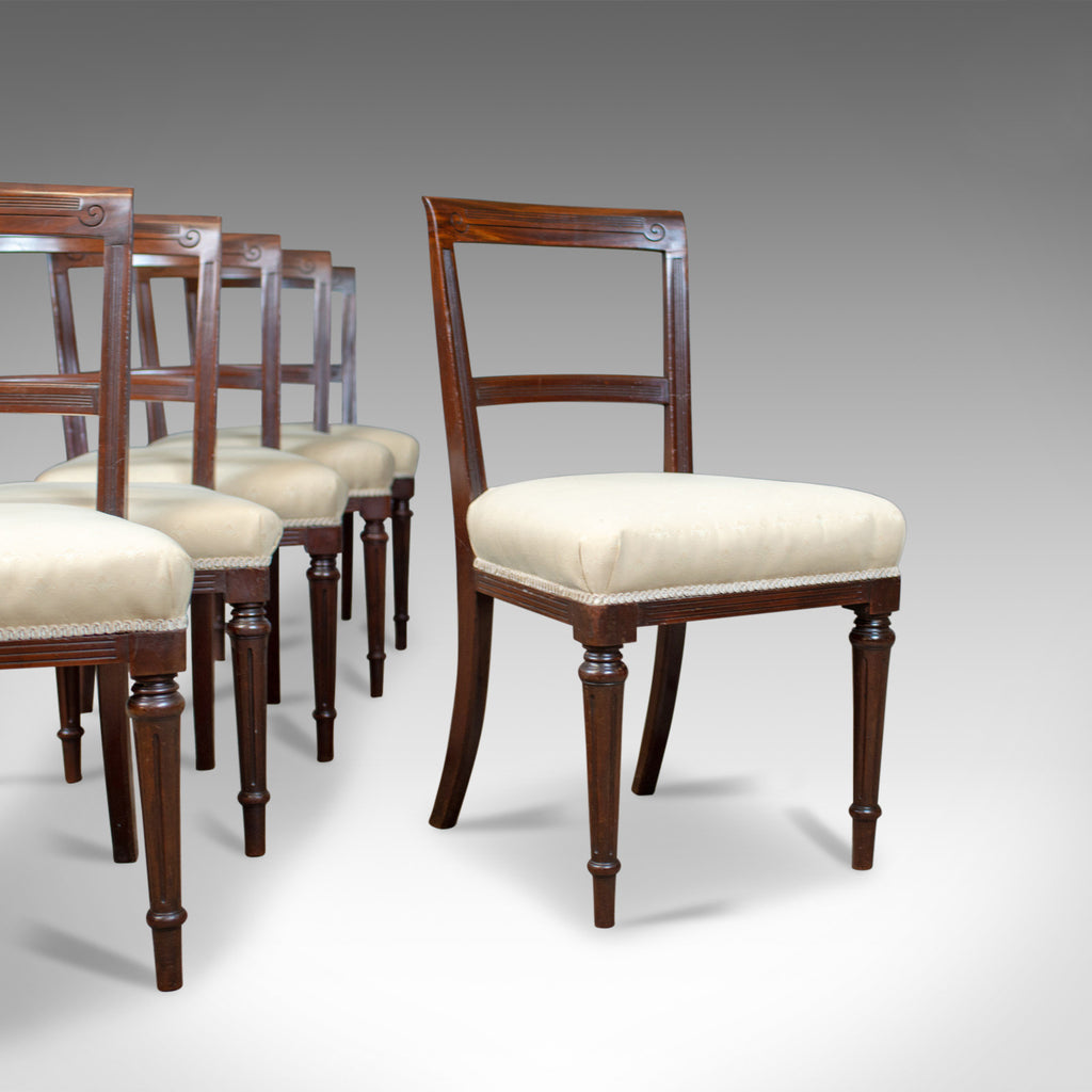 Set of Six Antique Dining Chairs, English, Victorian, Mahogany, Shoolbred, c1840 - London Fine Antiques