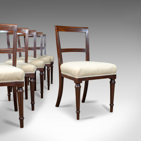 Set of Six Antique Dining Chairs, English, Victorian, Mahogany, Shoolbred, c1840 - London Fine Antiques