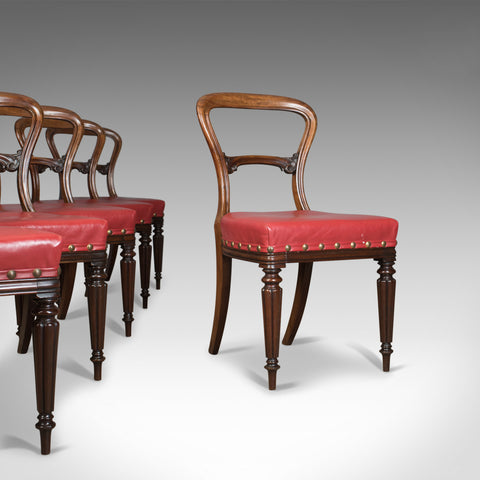 Set of Six Antique Dining Chairs, Leather, William IV, Buckle Back, Circa 1830 - London Fine Antiques