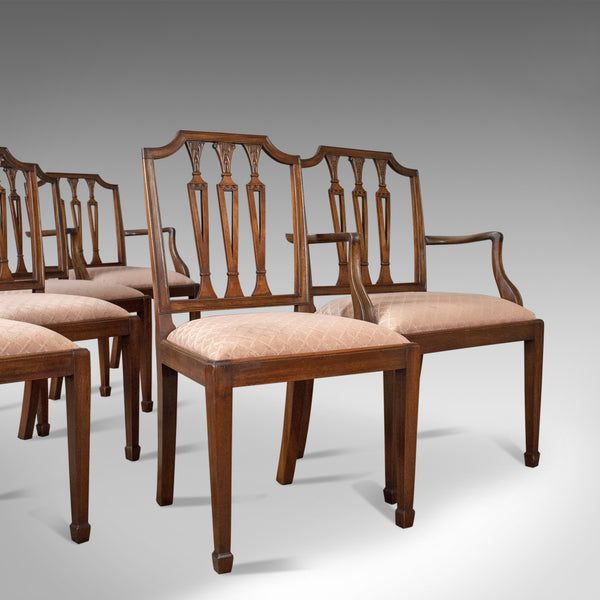 Set of Six Antique Dining Chairs, Mahogany, Victorian, Sheraton Revival c.1900 - London Fine Antiques