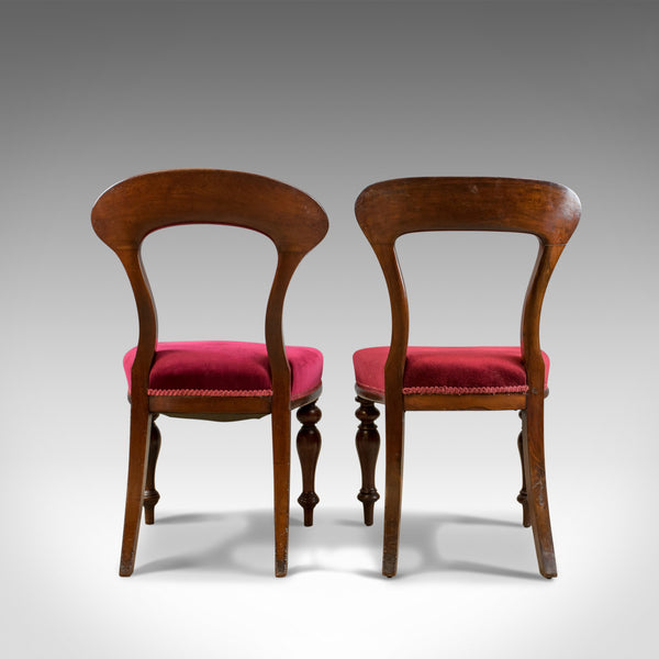 Six Antique Dining Chairs, 4+2, English, Victorian, Mahogany, Upholstered c.1840 - London Fine Antiques