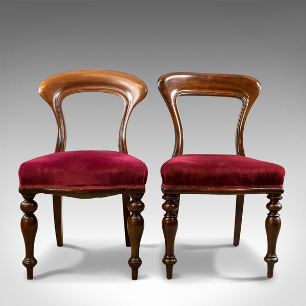 Six Antique Dining Chairs, 4+2, English, Victorian, Mahogany, Upholstered c.1840 - London Fine Antiques