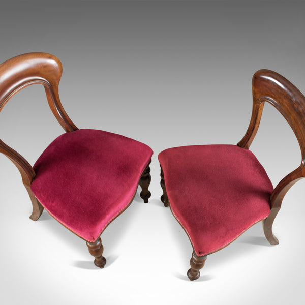 Six Antique Dining Chairs, 4+2, English, Victorian, Mahogany, Upholstered c.1840 - London Fine Antiques