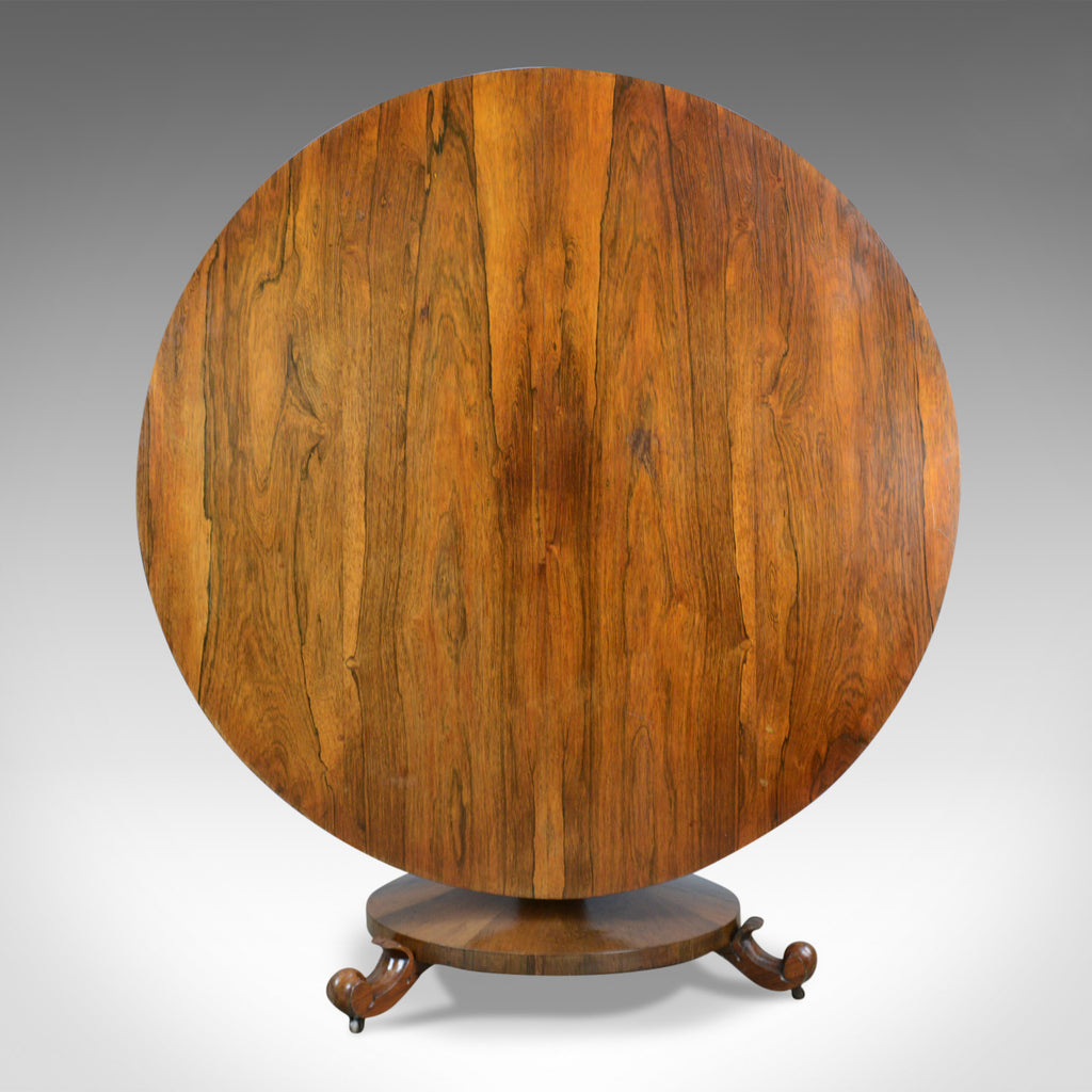 William IV, Antique Breakfast Table, English, Rosewood, Tilt Top, Dining, c.1835 - London Fine Antiques